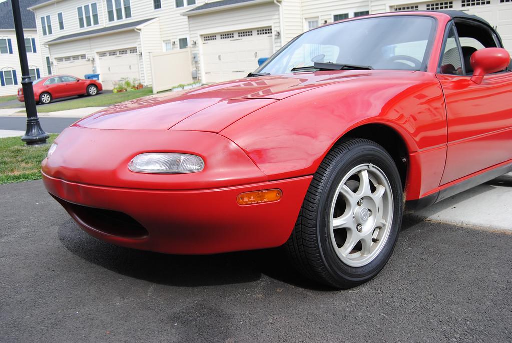 DSC_0492-XL.jpg