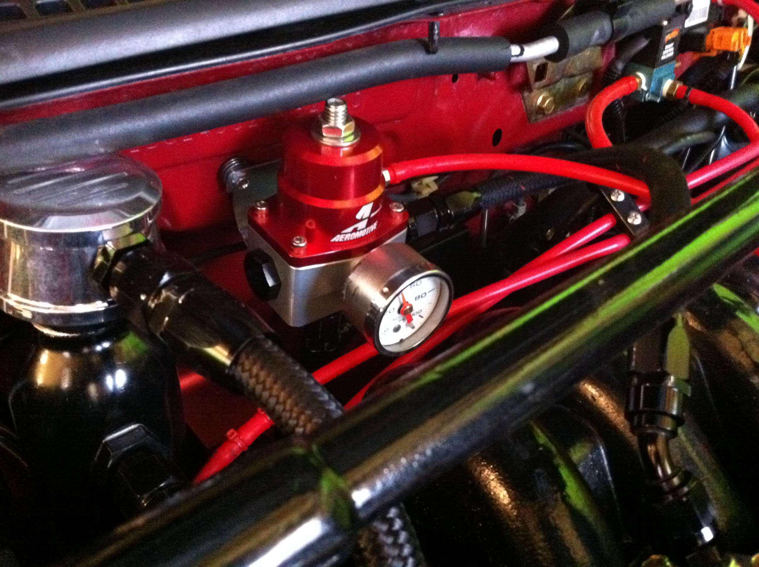 img1430t.jpg