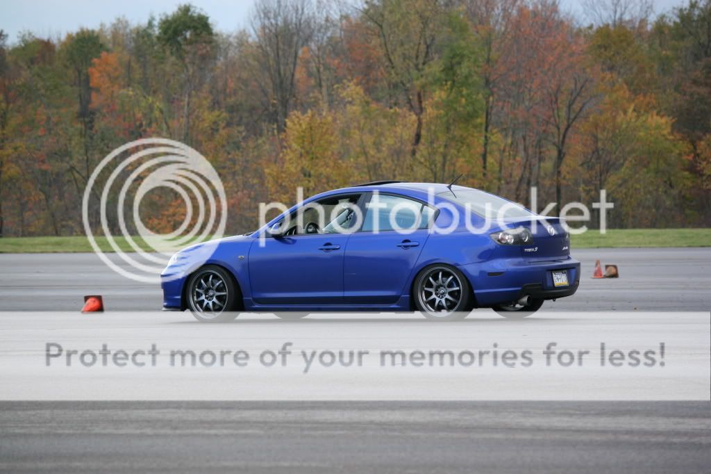 IMG_2242.jpg