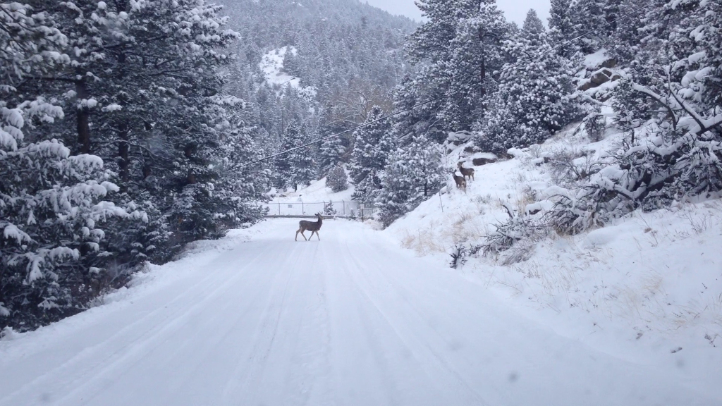 deer_canyon.jpg