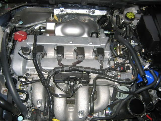 IMG_1456.jpg