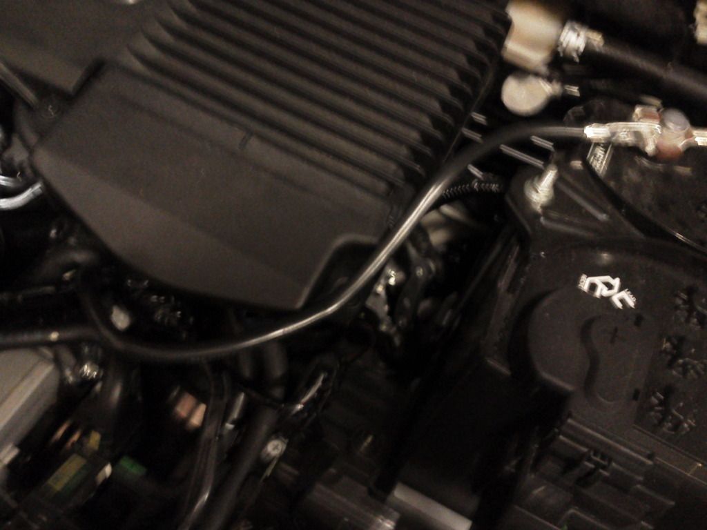 IMG_20120719_205925.jpg