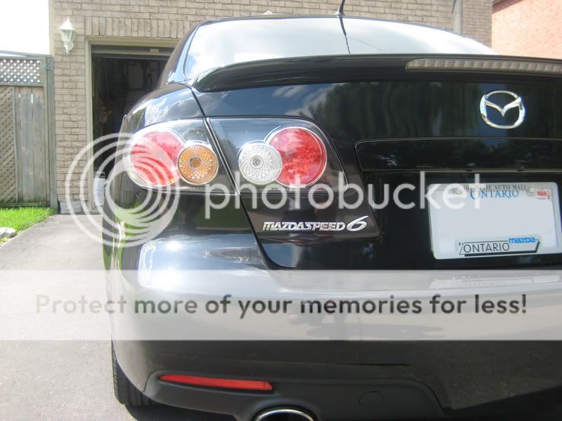 IMG_4206copy.jpg