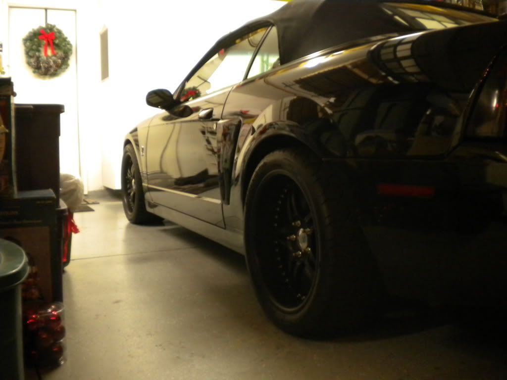 DSCN0971.jpg