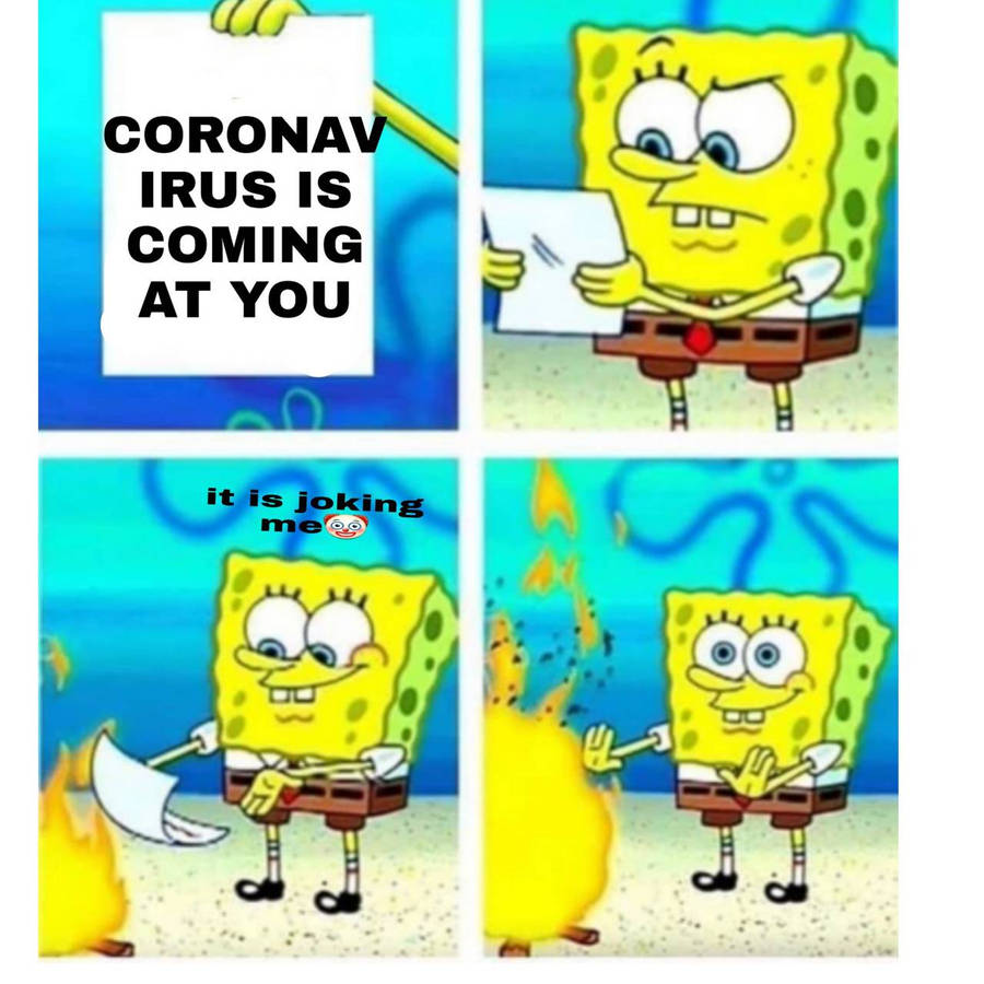 o9src.jpg