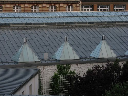 2506038241_3f52df8544.jpg