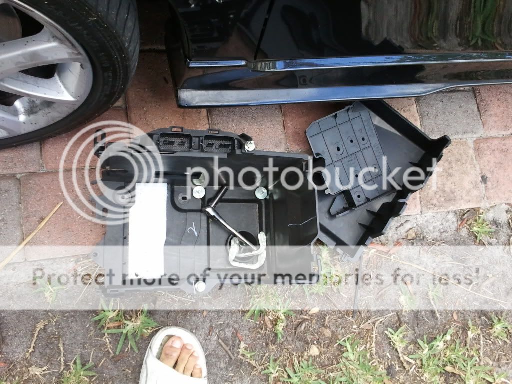 2011-03-26160725.jpg