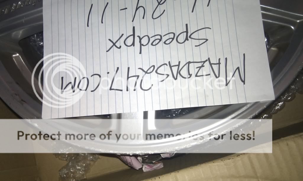 IMAG0095.jpg