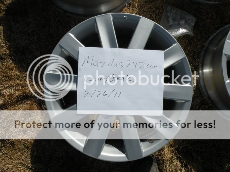 DSCN4528.jpg