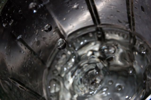 DSC_0056.jpg