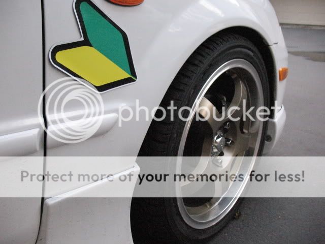 IMG_1845.jpg