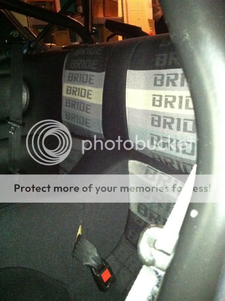 bridebackseat2.jpg