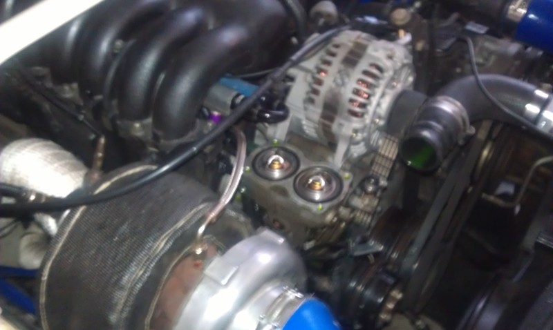 IMAG0273.jpg