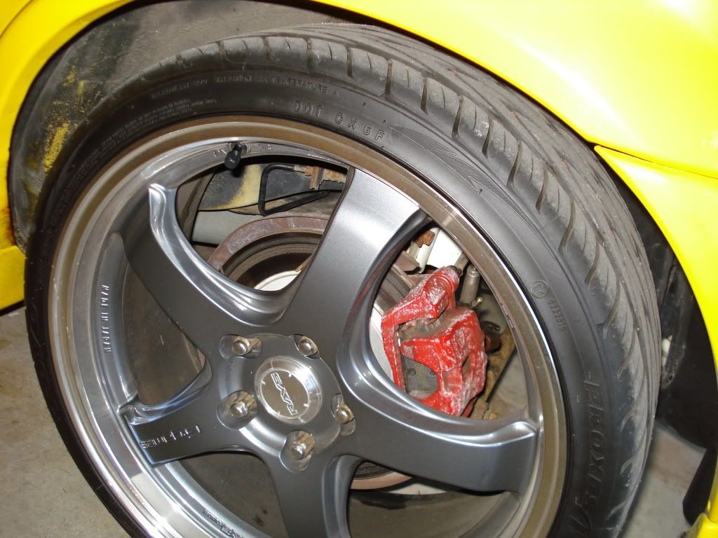 DSC02733.jpg
