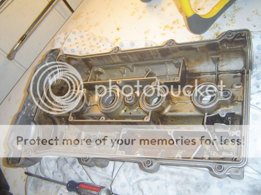 DSC03721.jpg