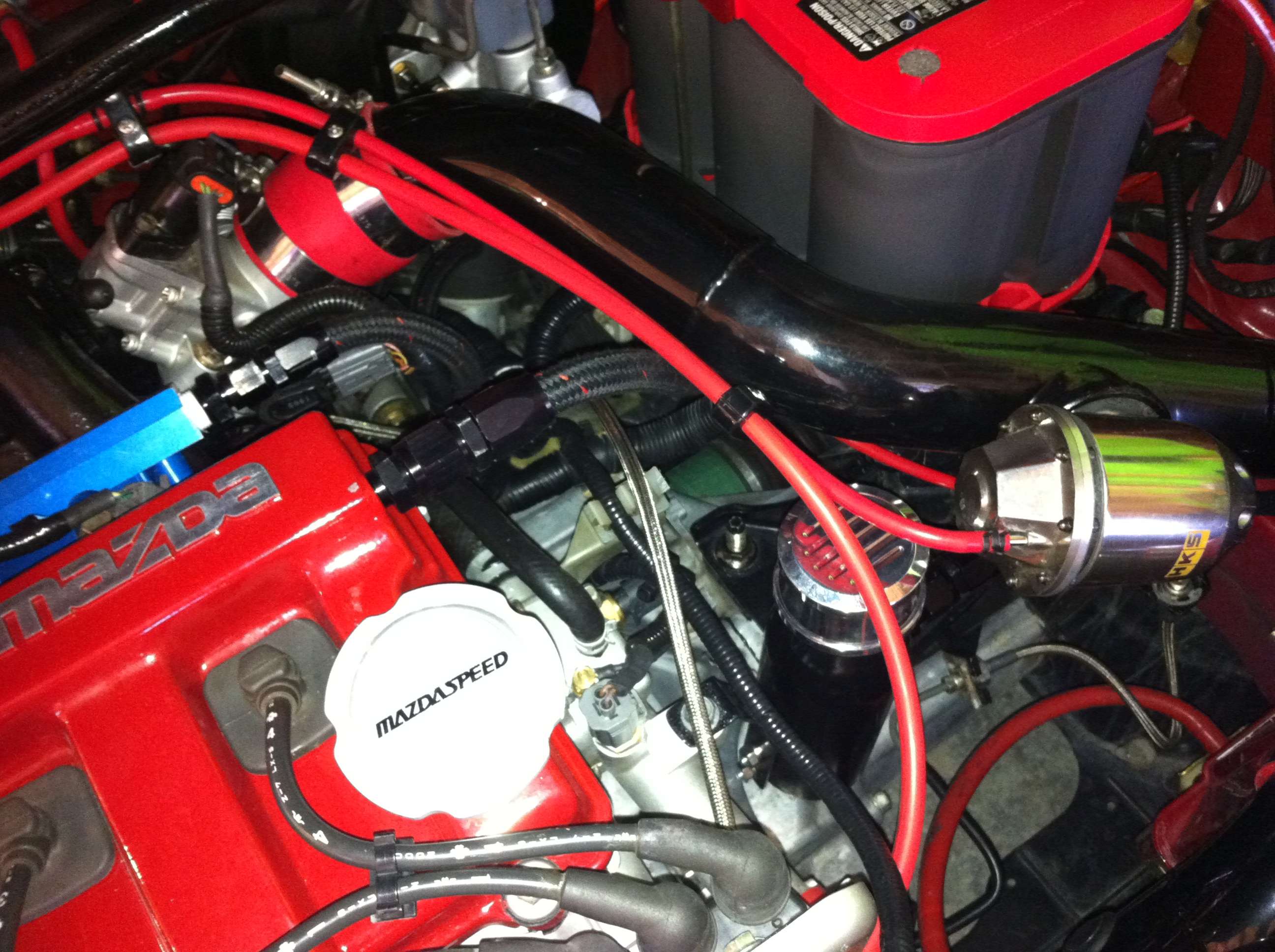 img1434u.jpg