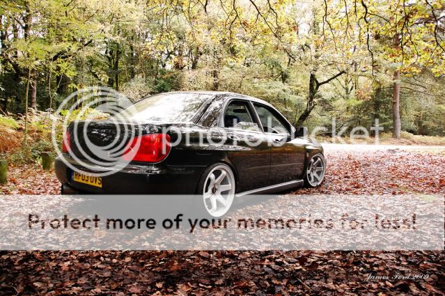 bcwrxii.jpg