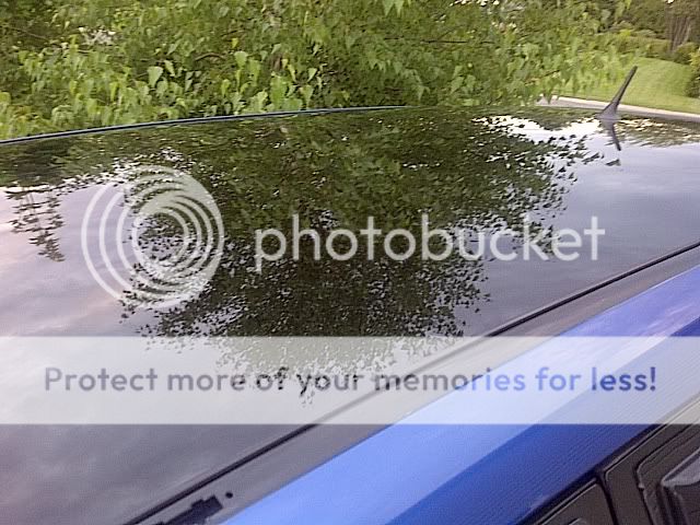 IMG-20110723-00077.jpg