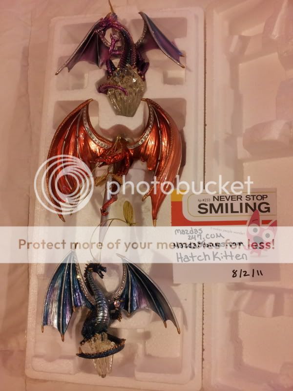 2011-08-02172859.jpg