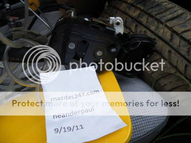 D5partdeux077.jpg