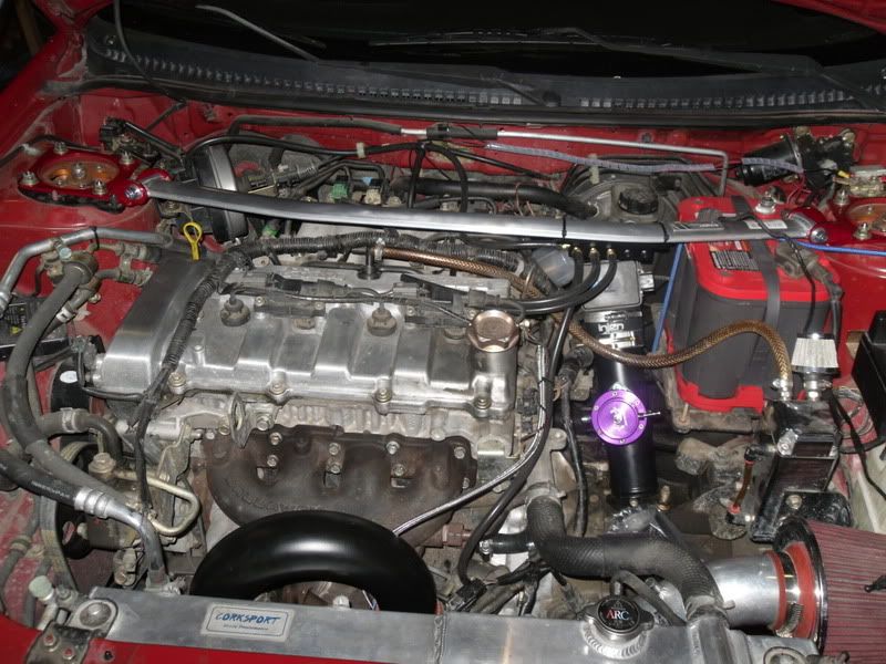 SDC10915.jpg