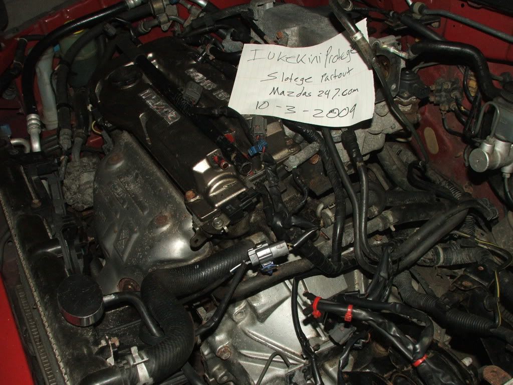 DSCF0735.jpg
