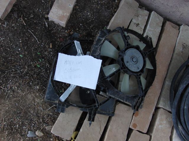 CIMG4623.jpg