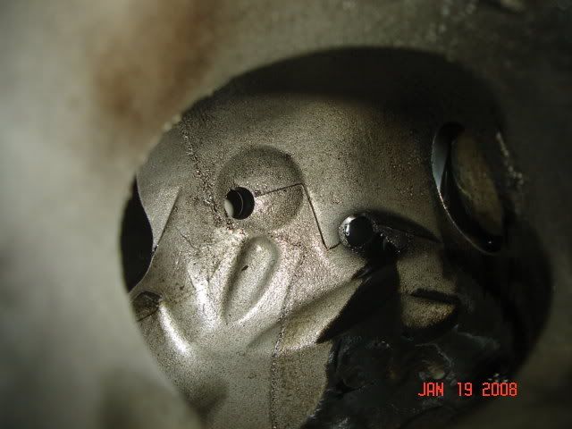 DSC02300.jpg