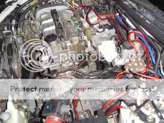 STA60002-18.jpg