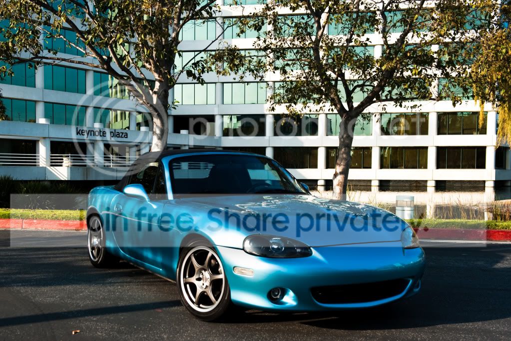 TheMiata-2-2-1.jpg