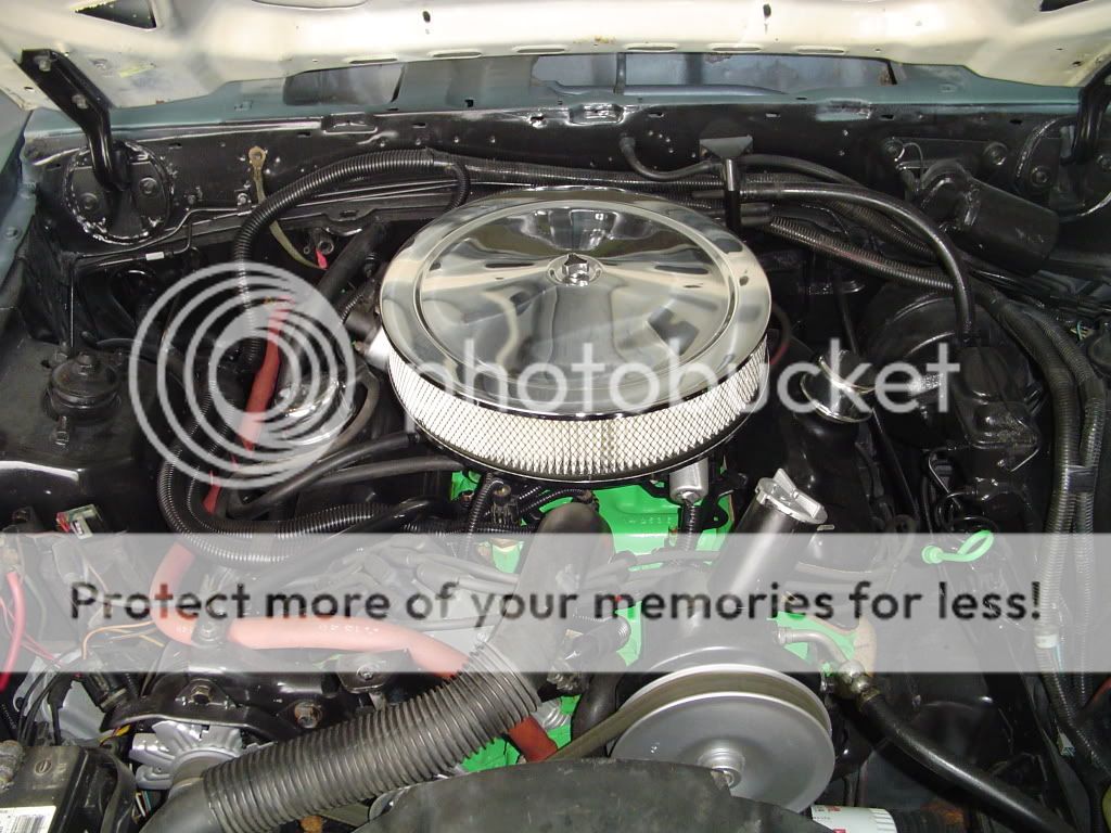 1984Mustang5003.jpg