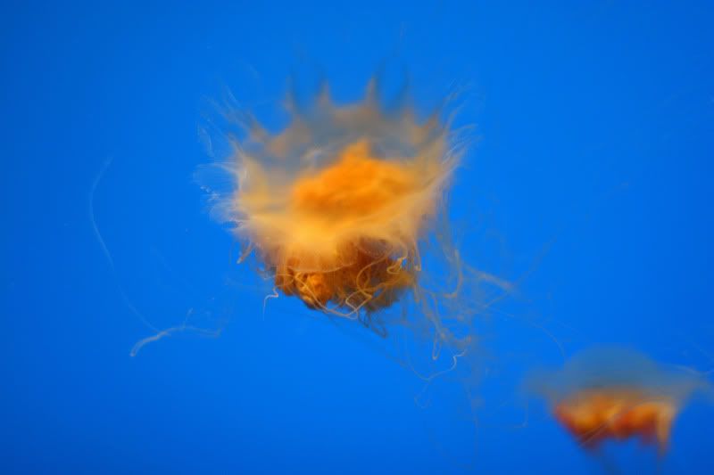 IMG_7685_edited-1.jpg