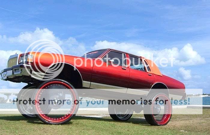 Donk.jpg