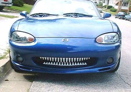 teeth.jpg