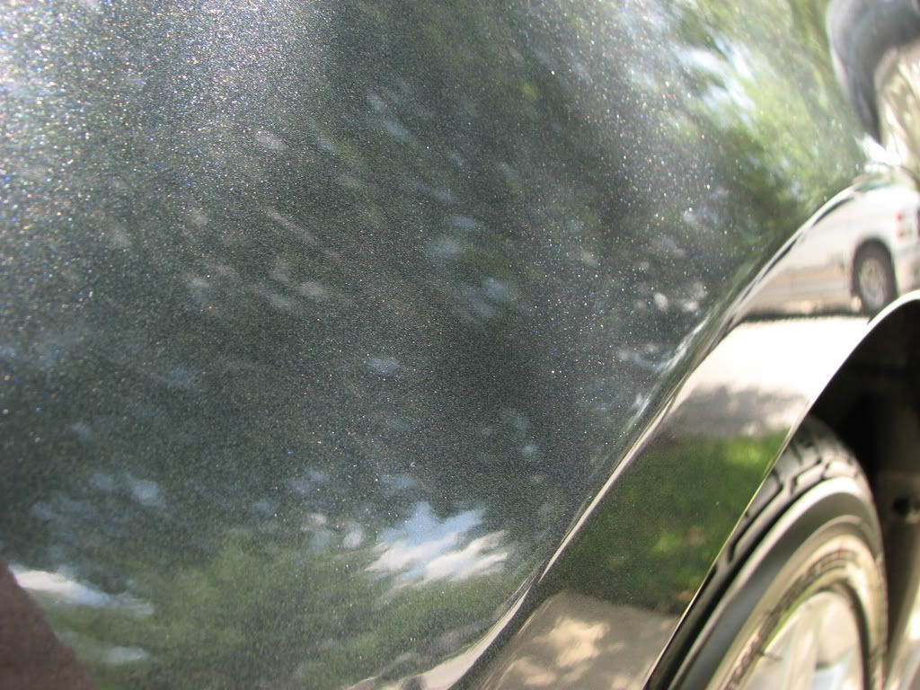 IMG_0687.jpg