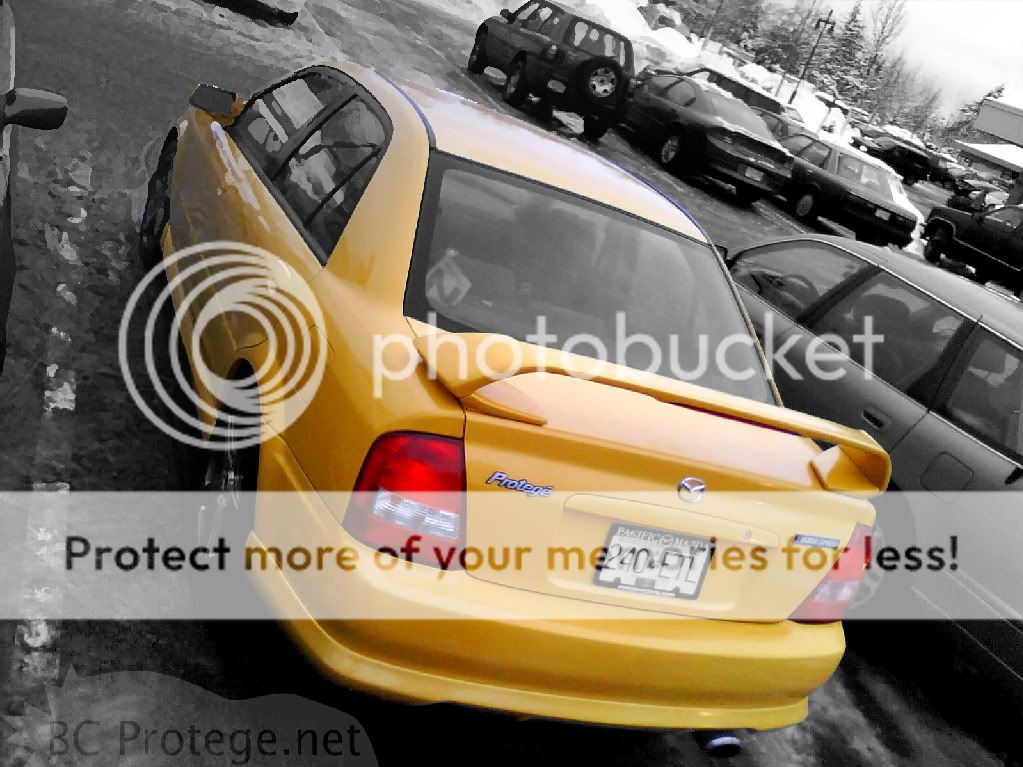 mspyellow.jpg