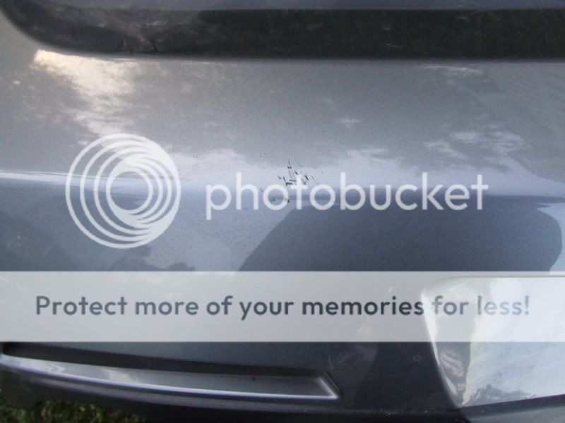 BumperCover002.jpg