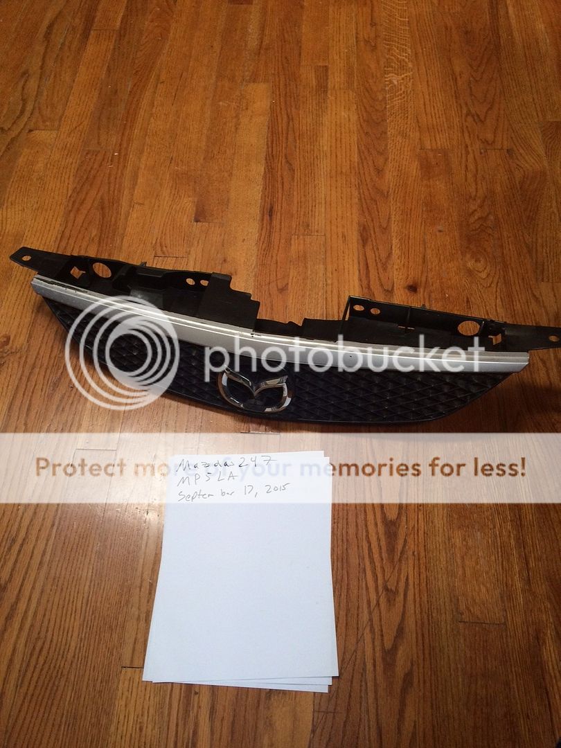 Painted Grill - Sunlight Silver