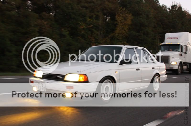 4291492824_d32e22a159_b.jpg