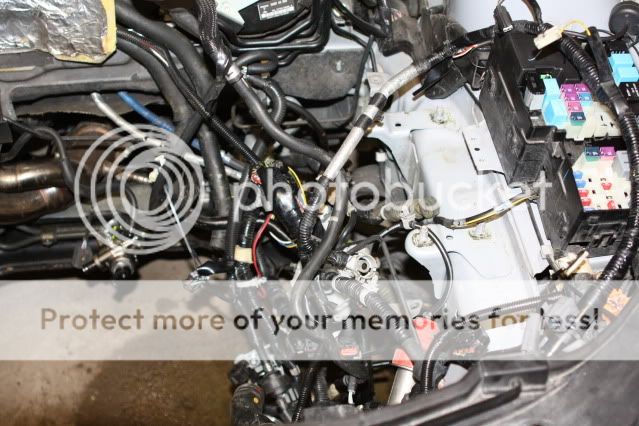 IMG_4805.jpg