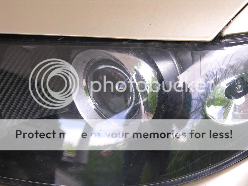 DSCN3868.jpg
