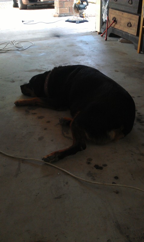 IMAG0282.jpg