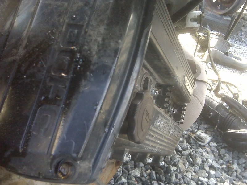 IMG00058.jpg