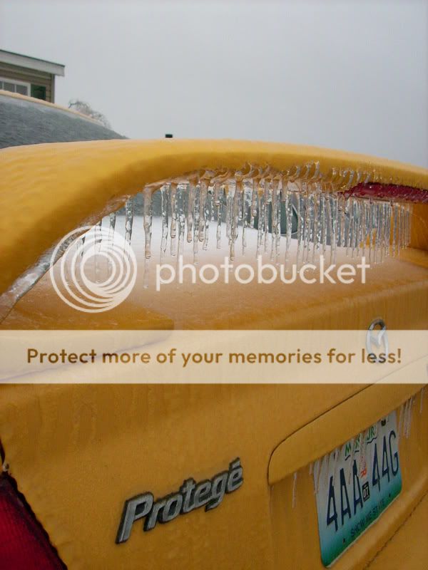IceStormpics015.jpg