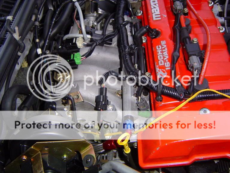 fr2.jpg