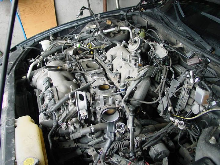 scheadcovergasket3.jpg