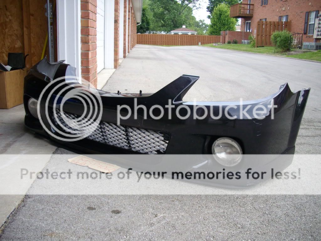 IMGP7100.jpg