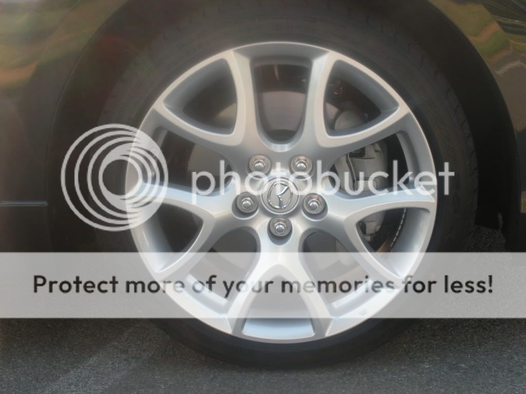 DSCN0706.jpg