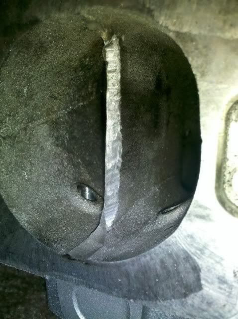 IMG_20101215_165951.jpg