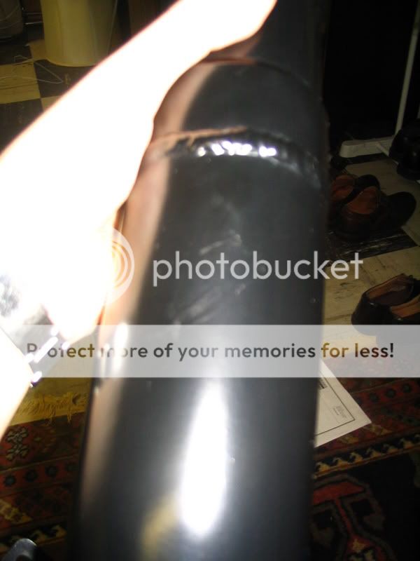 IMG_1584.jpg